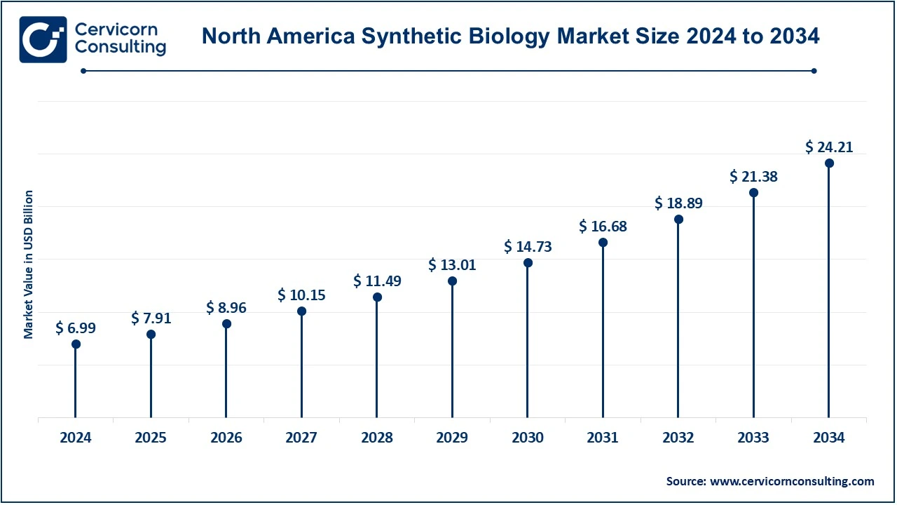 North America Synthetic Biology Market Size 2025 to 2034