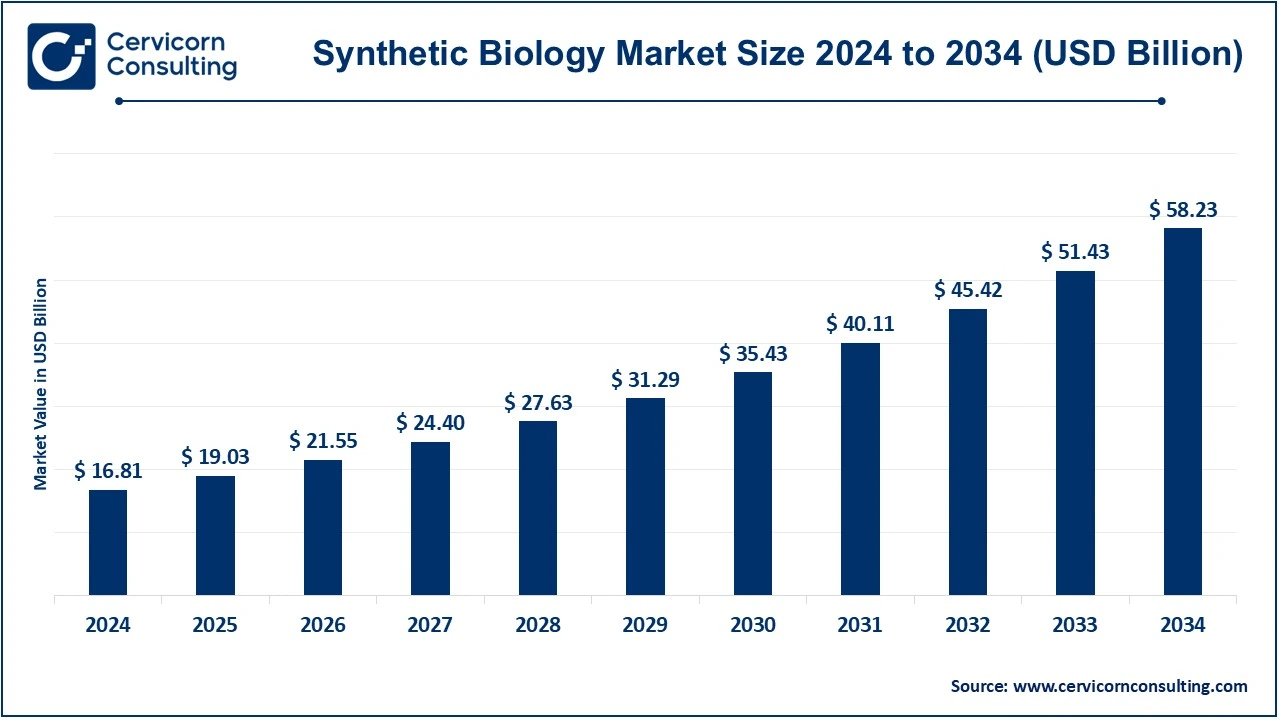 Synthetic Biology Market Size 2025 to 2034